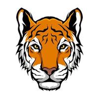 mascotte d'animal de tigre de tête pour l'illustration vectorielle de logo de sports et d'esports vecteur