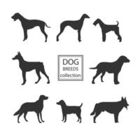 silhouettes de chiens décoratifs différentes races vecteur