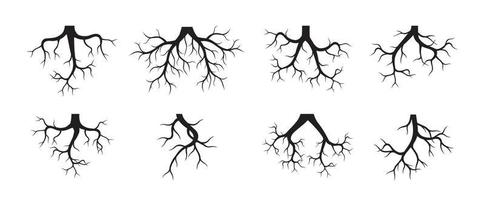 ensemble de racines d'arbres. illustration de contour de vecteur. planter dans le jardin. vecteur