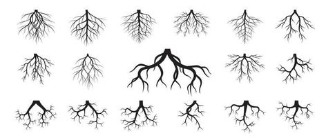 ensemble de racines d'arbres. illustration de contour de vecteur. planter dans le jardin.