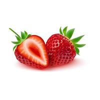 illustration vectorielle de fraise réaliste isolé sur fond blanc vecteur