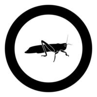 L'icône sauterelle couleur noire en cercle vecteur