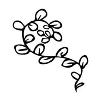 clipart de branche vecteur dessiné à la main. illustration d'herbe isolée sur fond blanc. doodle botanique pour l'impression, le web, le design, la décoration, le logo.