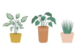 collection de plantes en pot isolées sur fond blanc. ensemble de plantes d'intérieur en pots et jardinières de style plat. illustration vectorielle vecteur