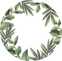 couronne aquarelle de branches tropicales vertes. bordure de cercle floral peinte à la main avec des branches d'arbres isolées sur fond blanc.