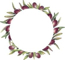 cadre aquarelle de branches d'olivier avec des fruits. bordure de cercle floral peinte à la main avec des fruits d'olive violets et des branches d'arbres isolées sur fond blanc. vecteur