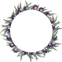 couronne d'aquarelle imprimée de branches d'olivier avec des fruits. bordure de cercle floral peinte à la main avec des olives et des branches d'arbres isolées sur fond blanc. vecteur