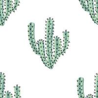modèle sans couture de dessin animé doodle cactus. fond fleuri. élément tropical de dessin animé mignon. vecteur