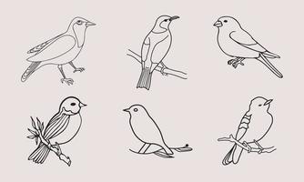 ensemble de logo d'oiseau dans un style linéaire minimal. collection créative de logos d'oiseaux abstraits vecteur