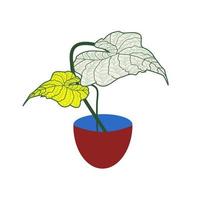 bonsaï coloré dans des pots rouges, illustration vectorielle. vecteur