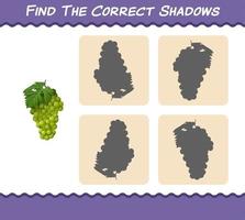 trouvez les ombres correctes du raisin vert de dessin animé. jeu de recherche et d'association. jeu éducatif pour les enfants d'âge préscolaire et les tout-petits vecteur