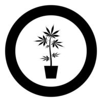 pot de marijuana cannabique en pot icône de chanvre en cercle rond illustration vectorielle de couleur noire image de style plat vecteur