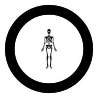 squelette humain, icône, noir, couleur, dans, rond, cercle vecteur