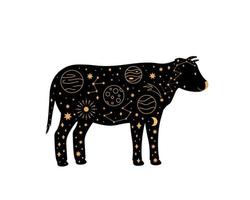 vache magique noire, symbole ésotérique de croissant de lune mystique, éléments de constellation. animal de compagnie noir sorcier. vecteur