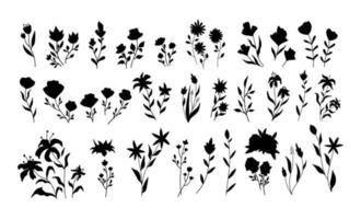 ensemble d'éléments floraux vintage vectoriels. joli ensemble de cadres et de bordures de doodle. éléments fleurs, branches, ornements et fioritures vecteur