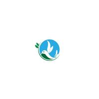 conception créative de l'icône du logo colibri vecteur