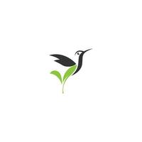 conception créative de l'icône du logo colibri vecteur