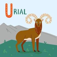 un urial de dessin animé avec de longues cornes bouclées illustration vectorielle dans l'herbe verte sur les montagnes. animal sauvage mignon vecteur