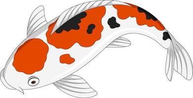 dessin animé mignon poisson koi sur fond blanc vecteur
