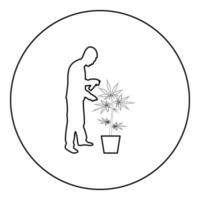 homme prenant soin de la plante de marijuana en pot pulvérisation d'eau à l'aide d'un arroseur à main arrosage jardinage récolte concept à la maison silhouette en cercle rond couleur noire illustration vectorielle contour contour vecteur