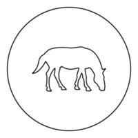 steed cheval équestre étalon équin pur-sang mustang silhouette en cercle rond noir couleur illustration vectorielle contour contour style image vecteur