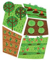 illustration vectorielle de l'agriculture, du potager et des lits avec des semis et des arbres fruitiers