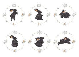 ensemble de lapins avec des éléments astrologiques, ésotériques, mystiques et magiciens. année du lapin vecteur