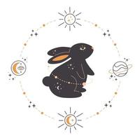 lapin avec des éléments astrologiques, ésotériques, mystiques et magiciens. année du lapin vecteur