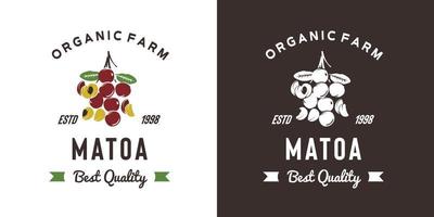 illustration de logo de fruits vintage matoa adaptée à la fruiterie et à la ferme fruitière vecteur