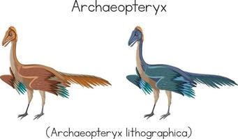 archéoptéryx en deux couleurs vecteur