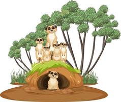 groupe de suricates avec terrier en style cartoon vecteur