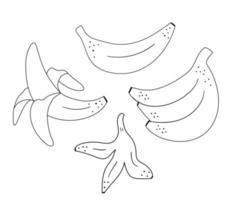 jeu de contour de banane vectorielle. illustration drôle de fruits exotiques tropicaux en noir et blanc. coloriage amusant pour les enfants. collection de cliparts d'été dans la jungle vecteur