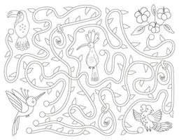 labyrinthe noir et blanc tropical pour les enfants. activité exotique préscolaire. casse-tête amusant dans la jungle avec un joli perroquet, une huppe et un toucan. aidez l'oiseau à se rendre au jeu des fleurs. coloriage amusant pour les enfants vecteur