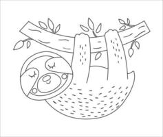 paresse mignonne de vecteur accrochée à un contour de brunch d'arbre. illustration drôle d'animal exotique tropical en noir et blanc. coloriage amusant pour les enfants. clipart été jungle