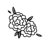 une paire de fleurs de pivoine avec des feuilles dans un style simple de griffonnage. illustration florale isolée de vecteur