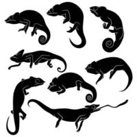 silhouette dessinée à la main de caméléon vecteur