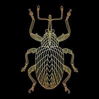 un scarabée doré dans un style linéaire. illustration vectorielle linéaire vecteur