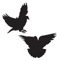 silhouette de pigeon vecteur