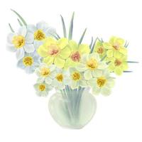 fleurs de jonquilles jaunes et blanches dans une illustration de vase en verre, vecteur isolé