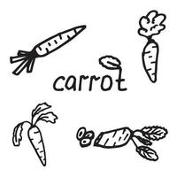 carotte en style doodle vecteur