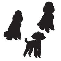 caniche, silhouette, art vecteur