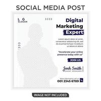 modèle de publication de médias sociaux expert en marketing numérique vecteur