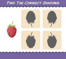 trouver les ombres correctes des framboises de dessin animé. jeu de recherche et d'association. jeu éducatif pour les enfants d'âge préscolaire et les tout-petits vecteur