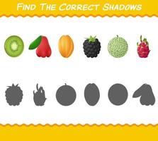 trouver les ombres correctes des fruits de dessin animé. jeu de recherche et d'association. jeu éducatif pour les enfants d'âge préscolaire et les tout-petits vecteur