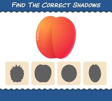 trouver les ombres correctes des nectarines de dessin animé. jeu de recherche et d'association. jeu éducatif pour les enfants d'âge préscolaire et les tout-petits vecteur