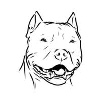 croquis de vecteur de pit-bull terrier