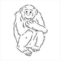 croquis de vecteur de chimpanzé