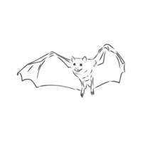 croquis de vecteur de chauve-souris