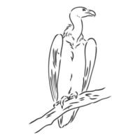 croquis de vecteur de vautour