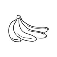 croquis de vecteur de banane